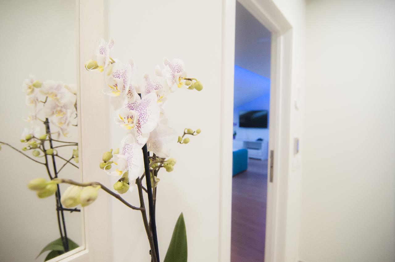 Los Rodeos Luxury Vivienda Vacacional La Laguna  Buitenkant foto
